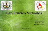 Habilidades Virtuales(2)