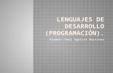 Lenguajes de desarrollo (programación)