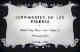 Componentes de la prueba ENNES-Nathaly Tenorio