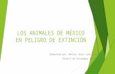 Los animales de México en peligro de extinción.