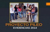 Evidencias PILEO 2014