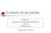 El estudio de las plantas 2015