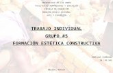 Investigación Individual.. Formación estética constructiva. Grupo #5