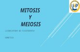 Mitosis y meiosis genetica