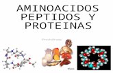 Presentación aa y proteinas