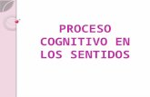 Proceso cognitivo en_los_sentidos