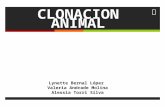 Clonacion Animal