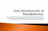 5. una introducción al metabolismo