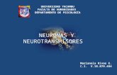 Neurotransmisores, tarea 9
