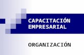 Cap emp organzación-1
