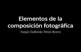 Elementos de la composición fotográfica Fer Gallardo