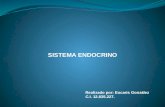 Sistema endocrino biologia y conducta