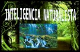 Inteligencia naturalista- evaluacion UAO