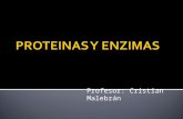 Proteinas y enzimas
