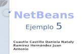 Net beans ejemplo8