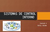 Sistemas de control interno