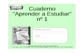 Cuad aprestudiarn1 0708(1)