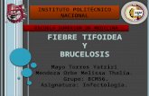 Fiebre Tifoidea y Brucelosis