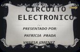 Circuito electronico