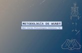 METODOLOGÍA DE WUNDT