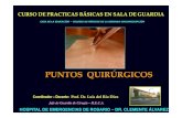 PUNTOS QUIRURGICOS. Prof. Dr. Luis del Rio Diez