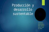 Producción y desarrollo sustentable