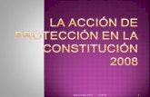 La acción de protección en la constitución del 2008