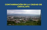 Contaminación en la ciudad de cintalapa original