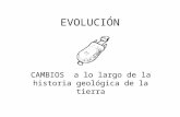 Evolucion 2011