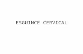 Esguincecervical 100102132425-phpapp01