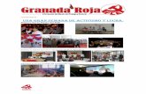 Granada roja 85