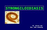 Clase 13[1]. strongiloidiasis