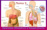 Tema 3 ap dixestivo e respiratorio