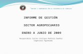 Sector agropecuario enero a junio 2009