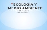 Ecologia y medio ambiente (1)