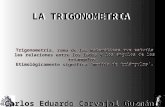 Hitoria De La Trigonometria Por Carlos, Andres, Fernando.