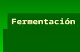 fermentacion carol