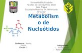 Metabolismo de Nucleótidos. Ribonucleótido Reductasa. Timidilato Sintasa