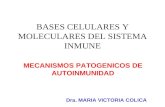 Bases celulares de la inmunidad
