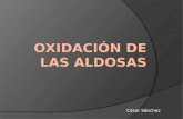 Oxidación de las aldosas