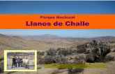 Parque Nacional Llanos de Challe