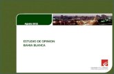 Encuesta Bahia Blanca 2012