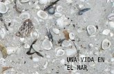 Un vida-en-el-mar.-reportaje-multimedia1