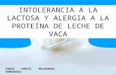 Intolerancia A La Lactosa y Alergia A Las Proteínas De Leche De Vaca