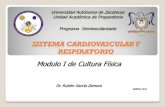 Sistema cardiovascular y respiratorio 2013