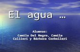 El agua...  Camila Del Negro, Barbara Corbelleri y Camila Callieri...