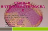 Enterobacterias I
