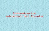 Contaminacion ambiental del ecuador