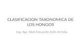 clasificacion taxonómica de hongos fitopatógenos
