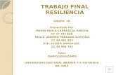 Proyecto Resiliencia  Tema Acoso Escolar